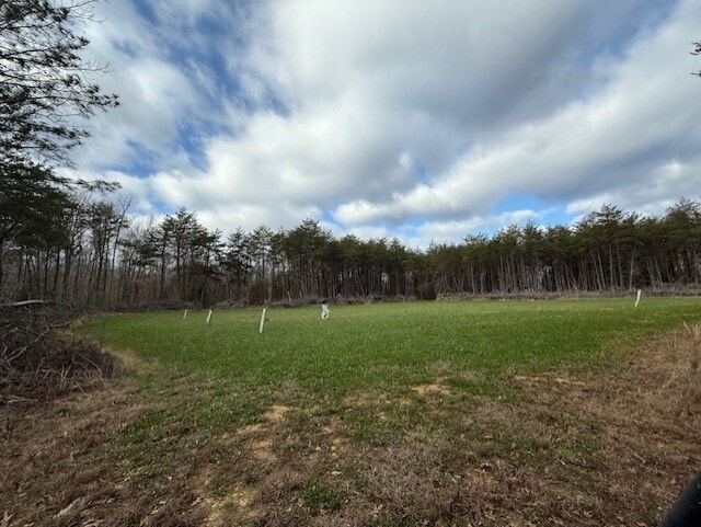 More Photos Of 10255 Crain hwy, Faulkner Land For Sale