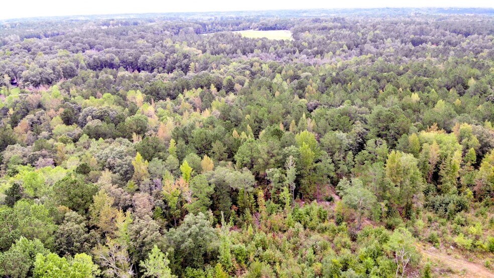 More Photos Of 300 Milton Welch (47+ acres - address # est) Rd, Sanford Land For Sale