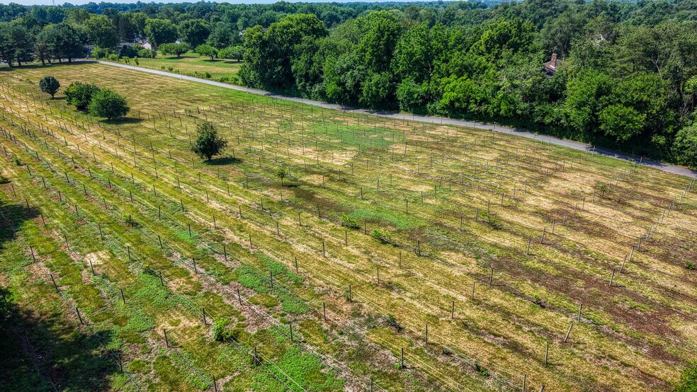 More Photos Of 1683 Peach Basket Rd, Felton Winery Vineyard For Sale