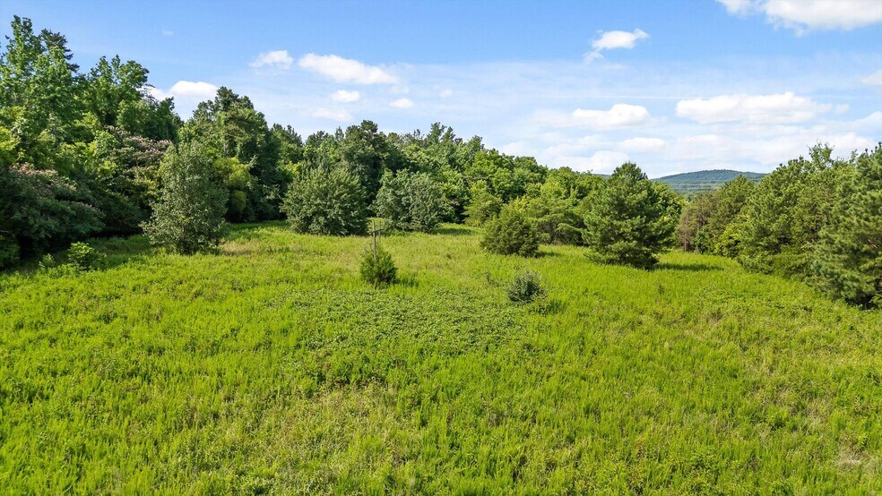More Photos Of 8646 Hwy 58, Harrison Land For Sale