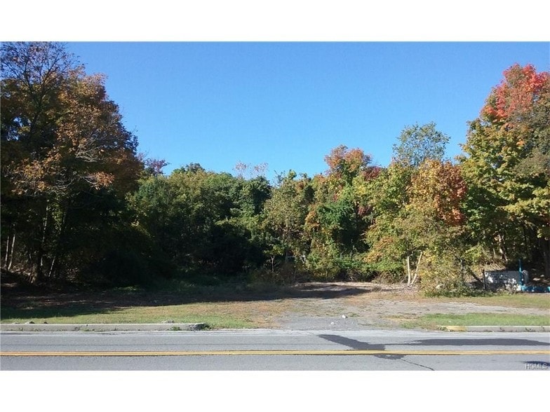 Primary Photo Of 139 State Route 17M, Harriman Land For Sale