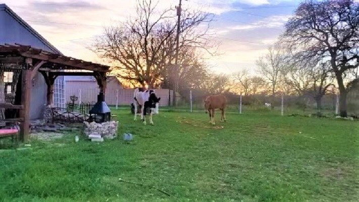 More Photos Of 6514 W US Highway 190, Belton Land For Sale