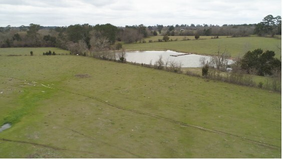 Primary Photo Of 1178 County Road 211, Anderson Land For Sale