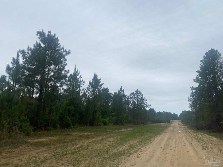 More Photos Of Walther Rd, Milton Land For Sale