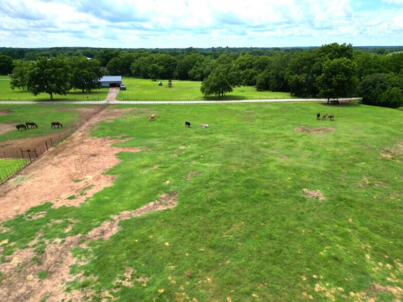 More Photos Of 103 Cody Rd, Earlsboro Land For Sale