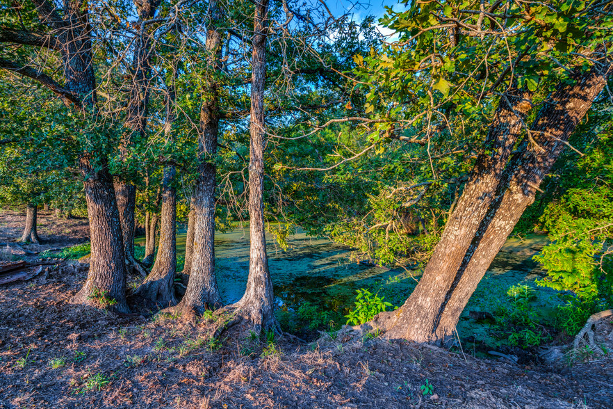 Primary Photo Of County Road 1105 @ Cq1115, Bogata Land For Sale