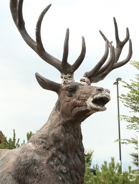 More Photos Of 411 Airport Rd E, Leduc County Storefront For Lease