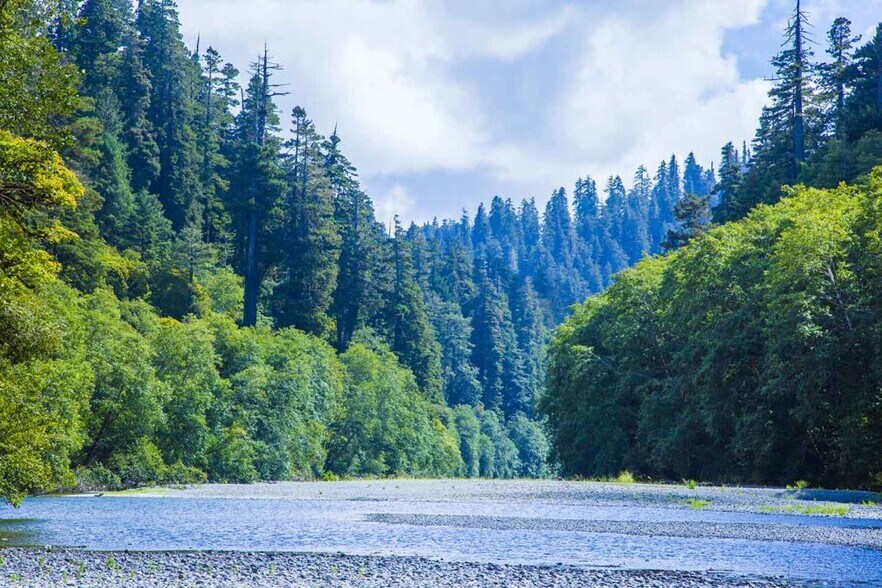 Primary Photo Of CA-36, Hydesville Land For Sale