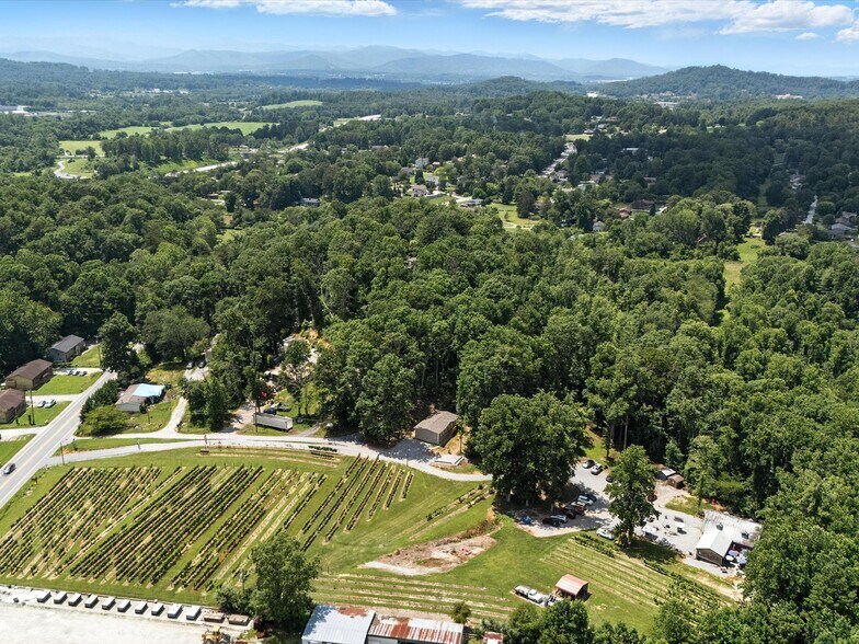 More Photos Of 124 Sandy Hill Ln, Hendersonville Winery Vineyard For Sale