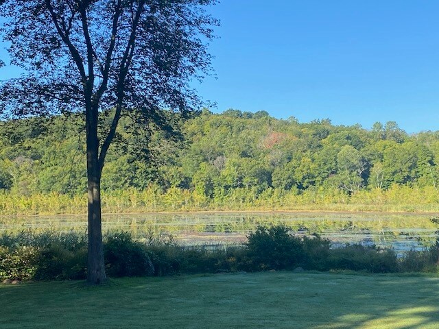 More Photos Of 152 Lily Lake Rd, Highland Land For Sale