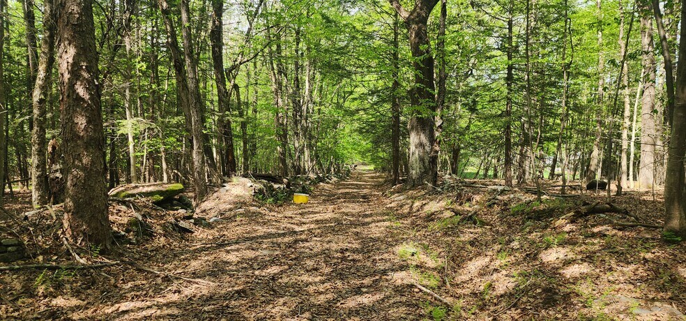 More Photos Of 1433 Co 56 Rd, Mountain Dale Land For Sale