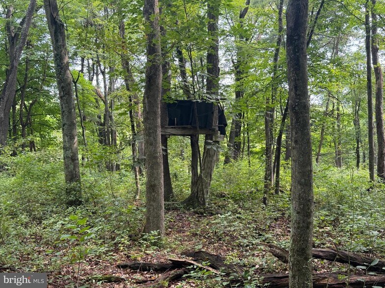 More Photos Of Schenck Road, Wells Tannery Land For Sale