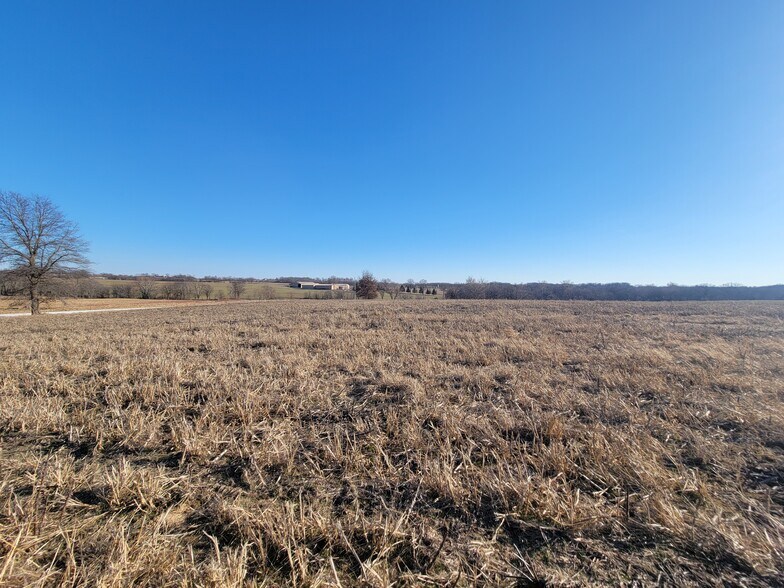 More Photos Of 171 Windy Hill Rd. (20+/- Acres), Elsberry Land For Sale