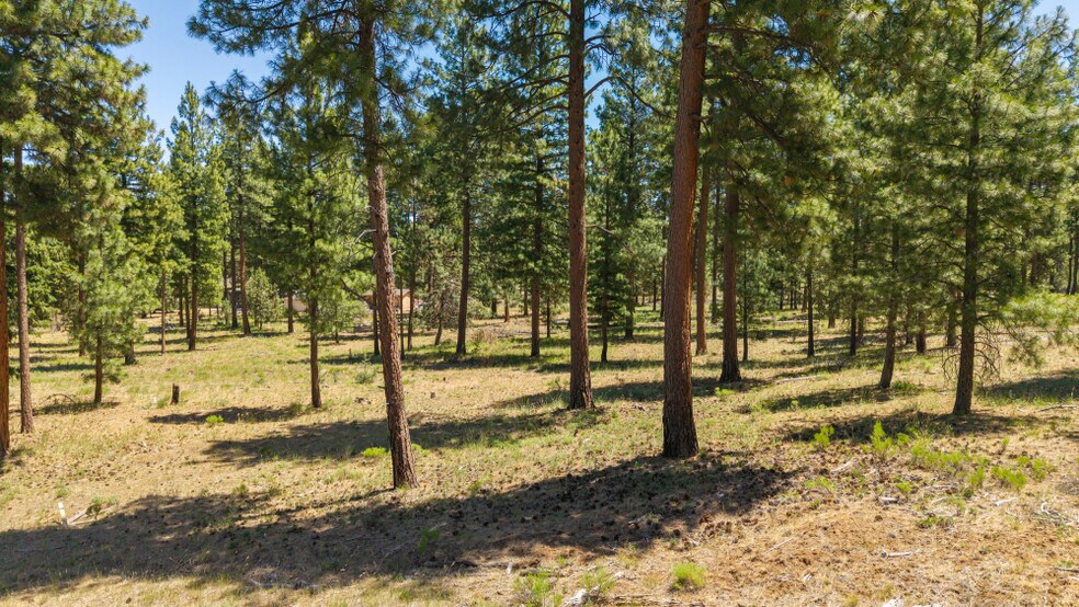 More Photos Of 0 Blue Wing Street, Keno Land For Sale