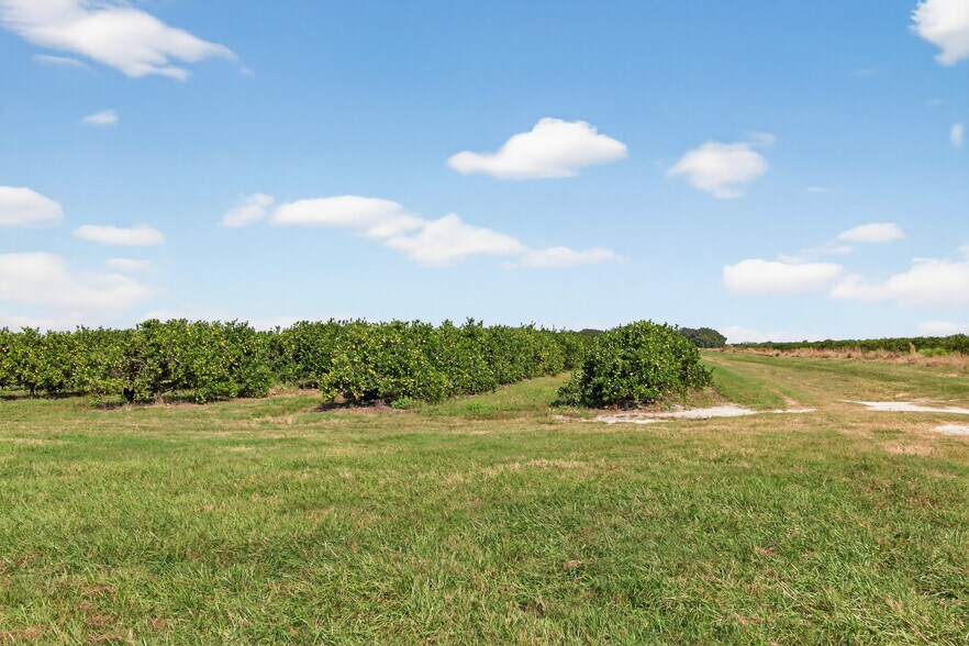 More Photos Of 8476 Ten Mile Grade, Zolfo Springs Land For Sale