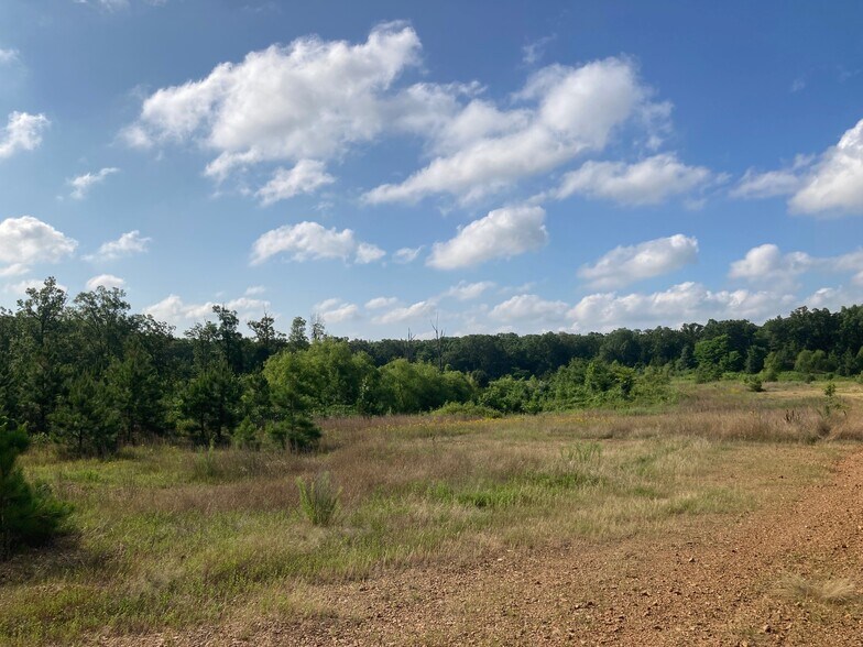 More Photos Of W Mathews Trl, Jonesboro Land For Sale