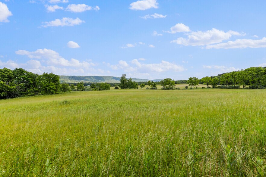 More Photos Of 3648 Dominion Rd, Gerrardstown Land For Sale