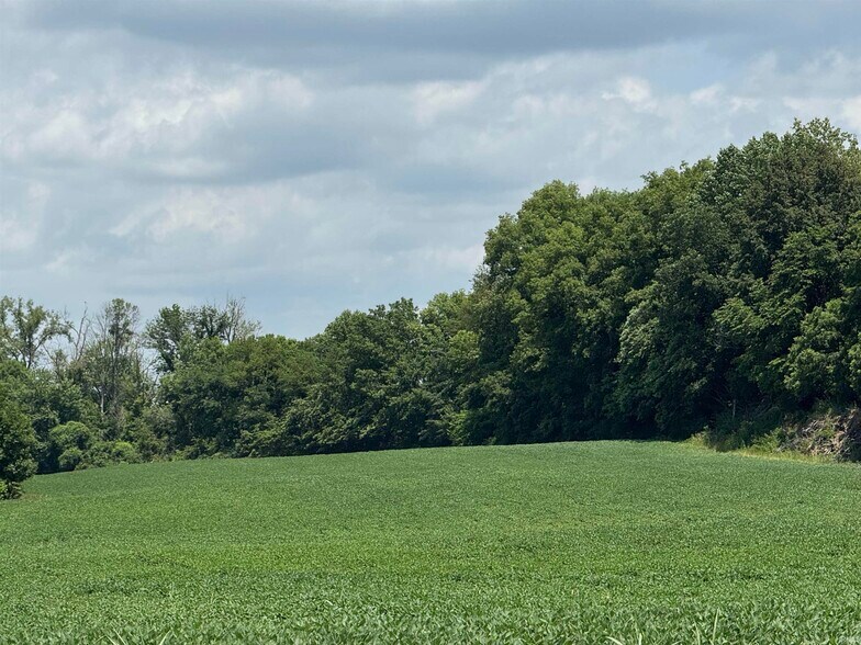 More Photos Of 50 N US HWY 41, Princeton Land For Sale