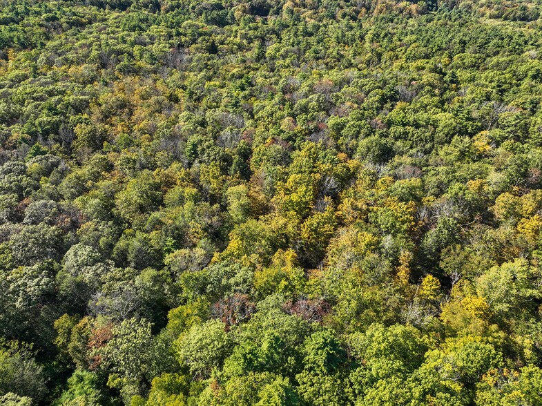 More Photos Of 425 Woodland Rd, Accord Trailer Camper Park For Sale