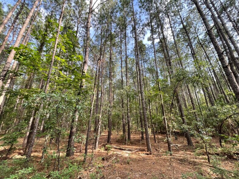 More Photos Of 229 Colbert Bridge Road, Windsor Land For Sale