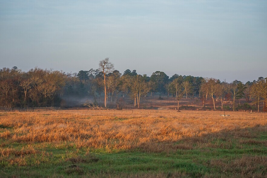 More Photos Of 573 FM 980 Rd, Huntsville Land For Sale