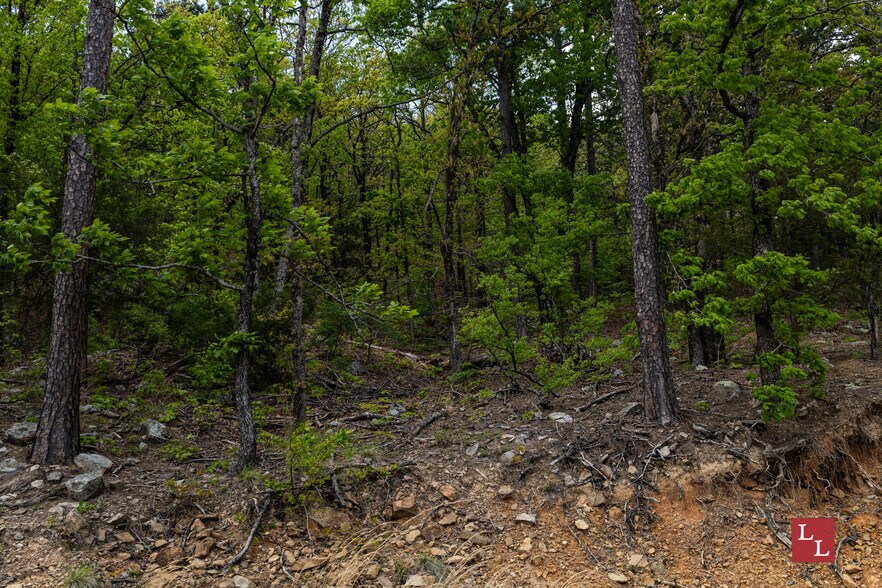More Photos Of State Highway 43, Clayton Land For Sale