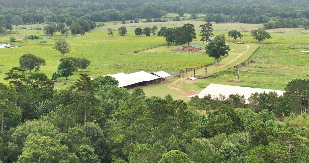 More Photos Of 44 Bucking Bull Rd, New Waverly Land For Sale