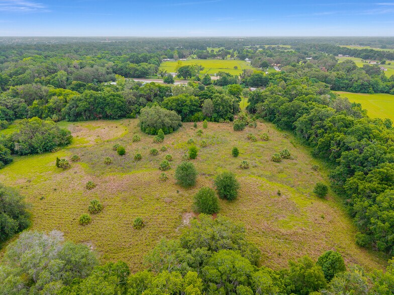 More Photos Of TBD S. Highway 301, Summerfield Land For Sale