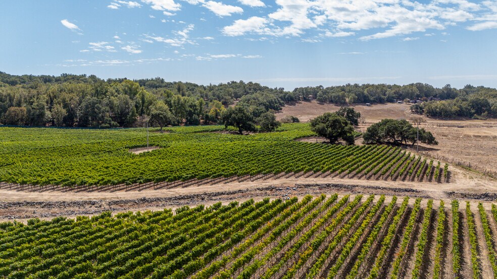 More Photos Of 3340 Lichau Rd, Penngrove Land For Sale