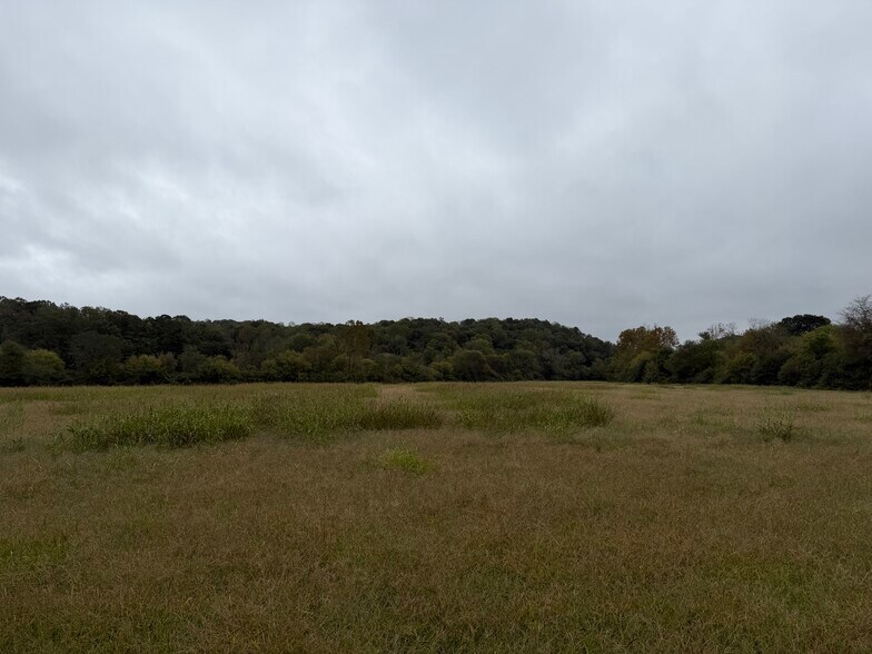 More Photos Of 0 County Road 60, Heflin Land For Sale