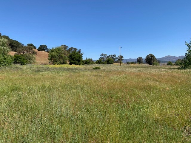 More Photos Of 0 Golden Gate Dr, Napa Land For Sale