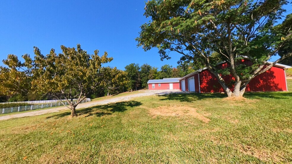 More Photos Of 851 Webb Ln, Olive Hill Land For Sale