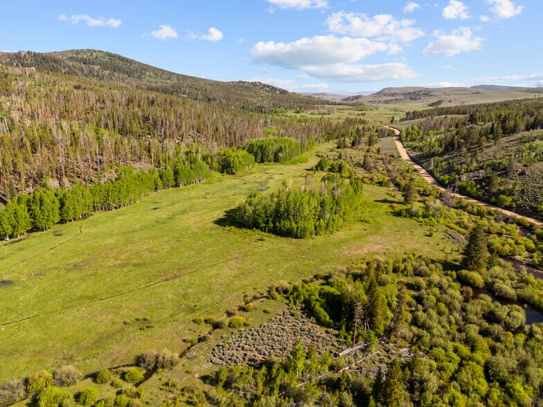 More Photos Of 3219 County Road 99, Red Feather Lakes Specialty For Sale
