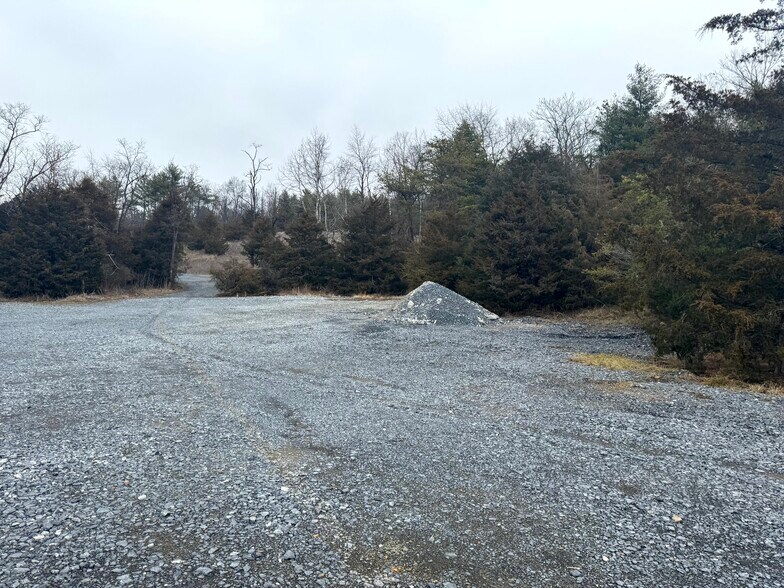 More Photos Of Route 259 Hwy, Fulks Run Land For Lease