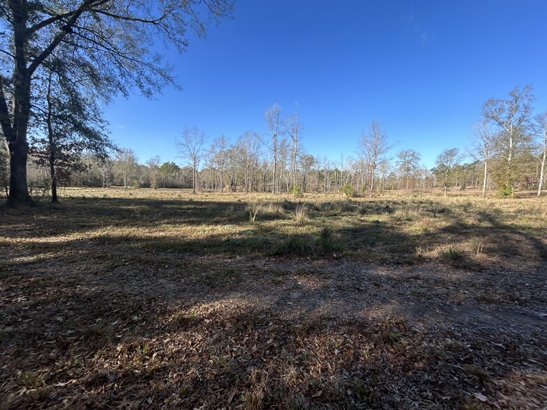 Primary Photo Of Boy Scout Rd - Section 1, Forest Hill Land For Sale