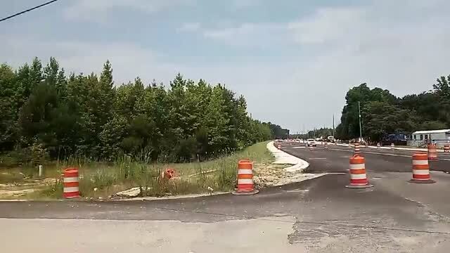 Primary Photo Of 900 Block Even Side Road Alligator Road, Effingham Land For Lease