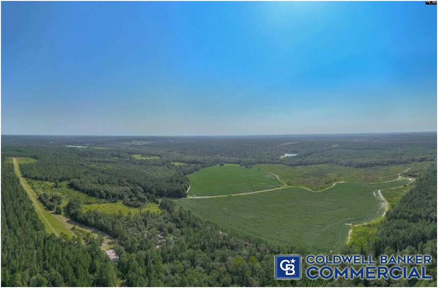 More Photos Of 1340 Clayton Rd, Ridge Spring Land For Sale