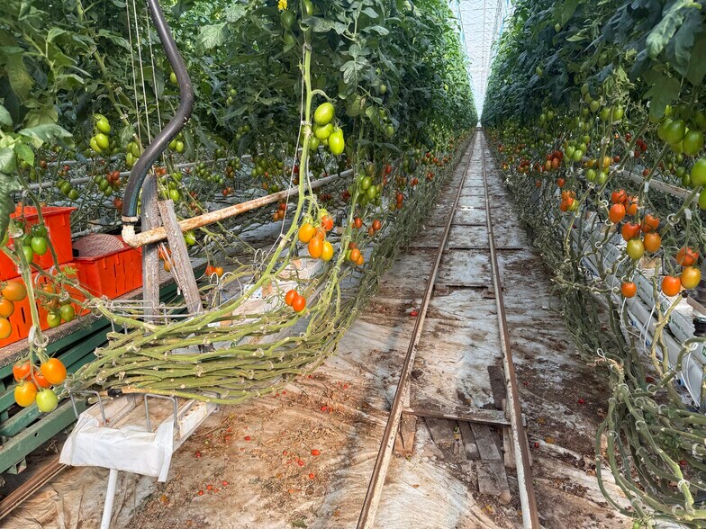 More Photos Of 11312 Range 63 rd, Cypress County Industrial For Sale