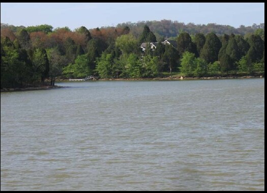 More Photos Of 9202 S Northshore Dr, Knoxville Office For Lease