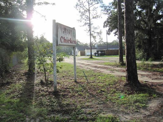 More Photos Of 49 Ivan Church Rd, Crawfordville Land For Sale