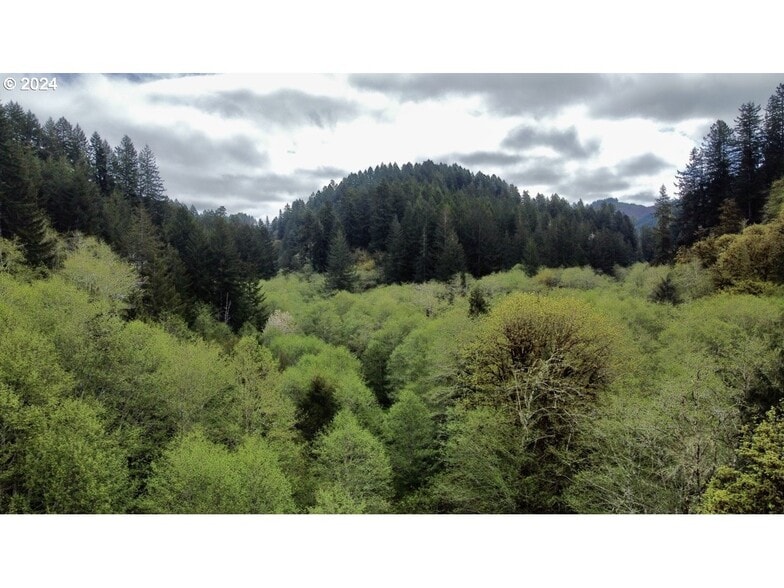 More Photos Of 18-10-00-00-01300500, Mapleton Land For Sale