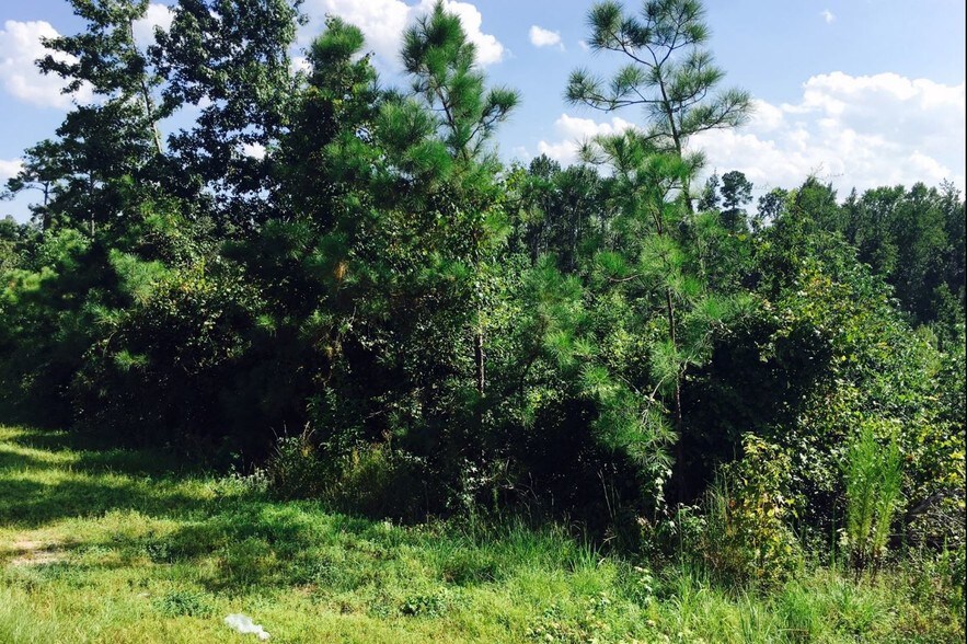 More Photos Of NC Hwy 24 87, Cameron Land For Lease