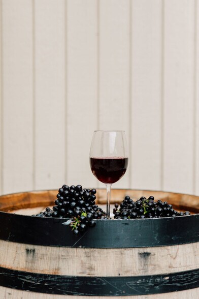 More Photos Of 4290 Mt Baker hwy, Everson Winery Vineyard For Sale