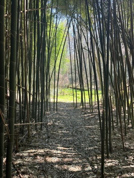 More Photos Of 1 Old Mill Lane, Weaverville Restaurant For Sale