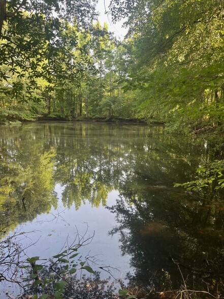 More Photos Of 20Acres Manley Rd, Hazel Green Land For Sale