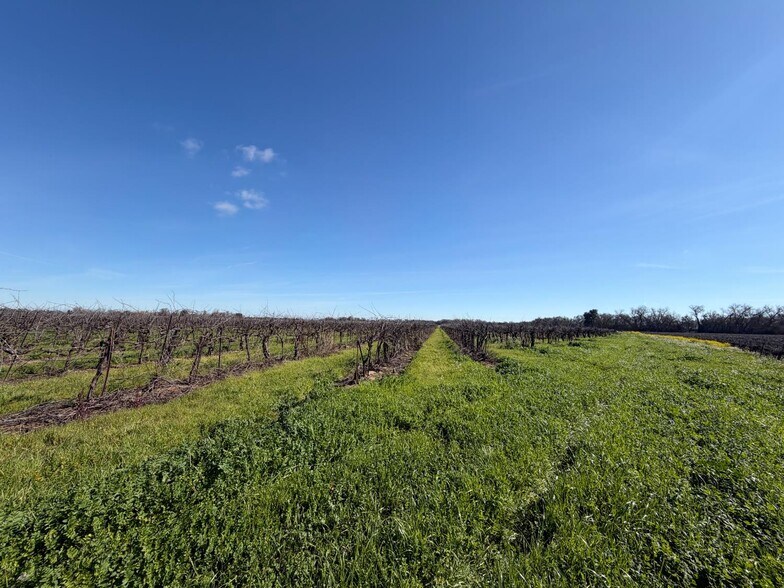 More Photos Of 9590 Kost rd, Galt Land For Sale