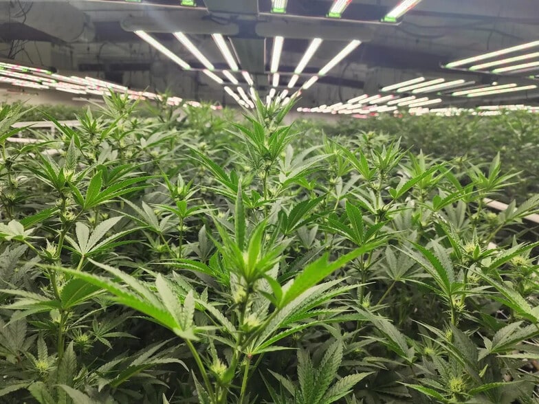 More Photos Of 6119 Hanover Rd NW, Albuquerque Manufacturing For Sale