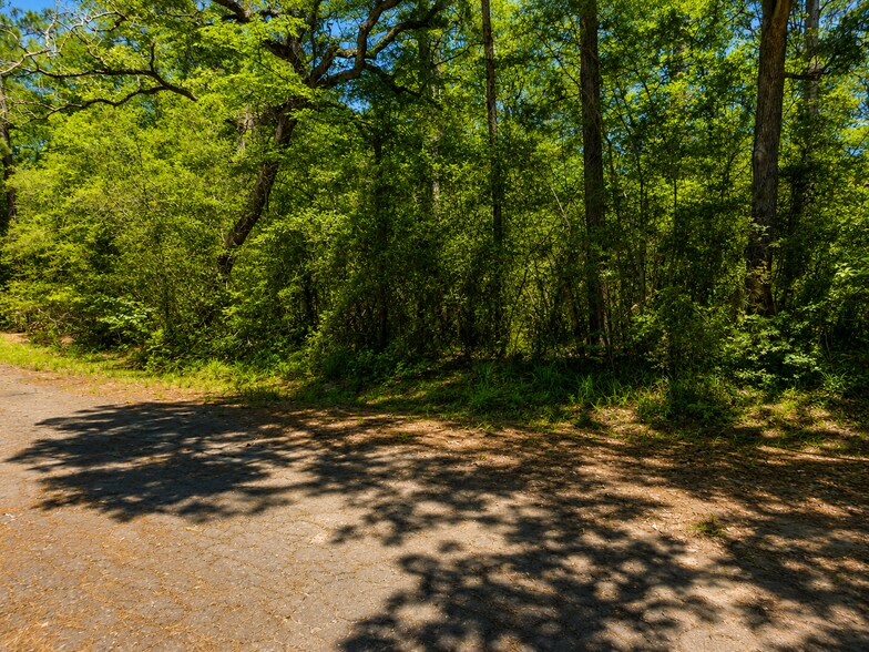 More Photos Of 9102 Blue Lake dr, Plantersville Land For Sale