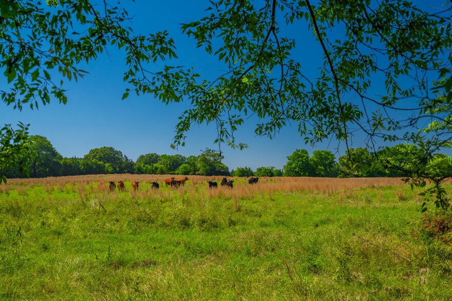 More Photos Of County Road 2592, Marietta Land For Sale