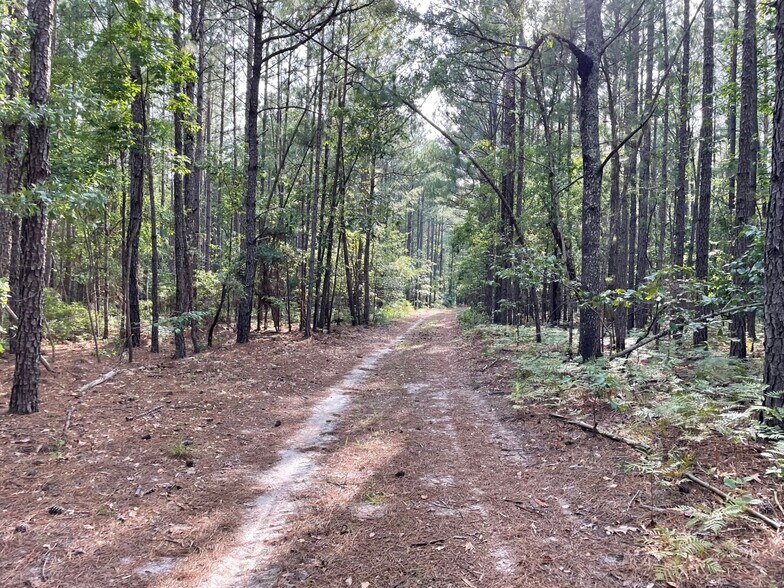 More Photos Of 229 Colbert Bridge Road, Windsor Land For Sale